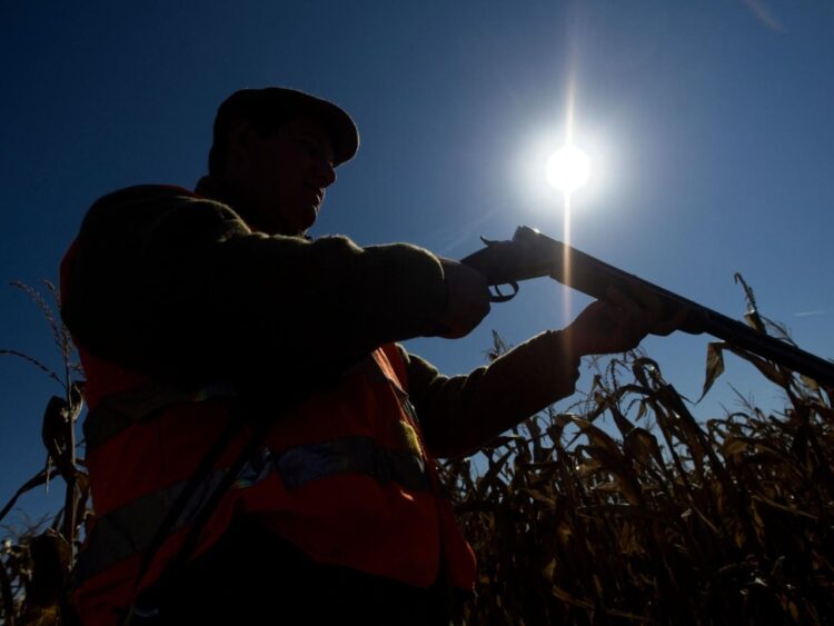 La caza furtiva diezmó la población de rinocerontes en los últimos años. Foto: AFP