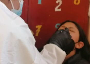 La imagen es solo referencial