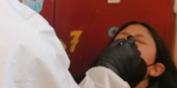 La imagen es solo referencial
