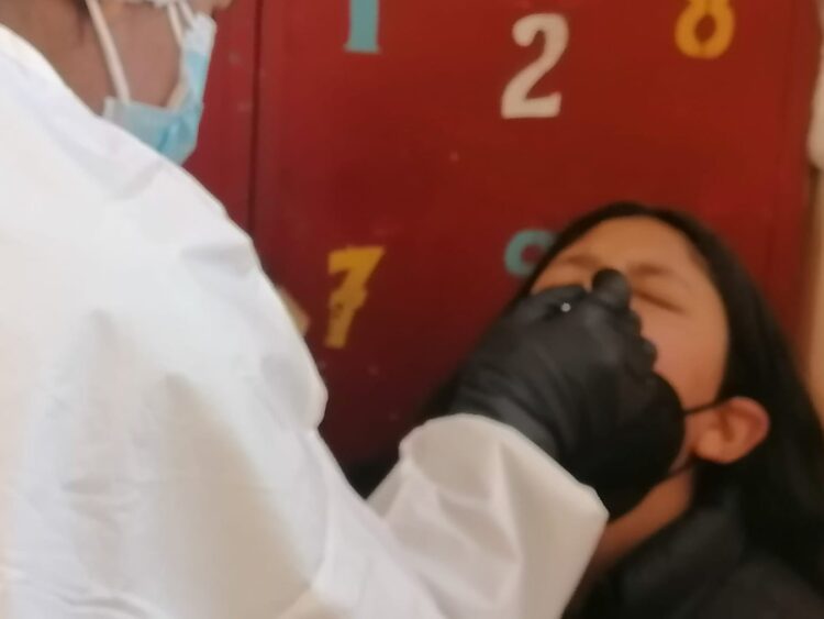 La imagen es solo referencial