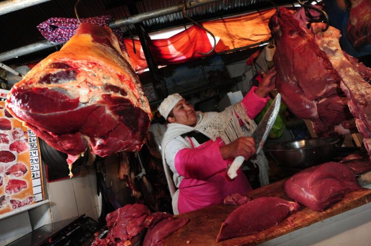 Ganaderos garantizan un normal abastecimiento de carne de res