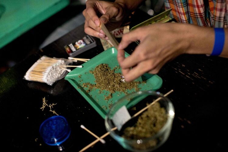 La creatividad y rapidez resalta en el concurso de cannabis. Foto: AFP