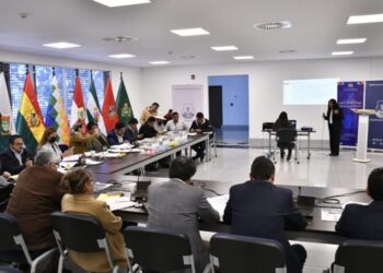 Foto: Prensa Senado