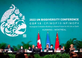 cop15_montreal.jpg