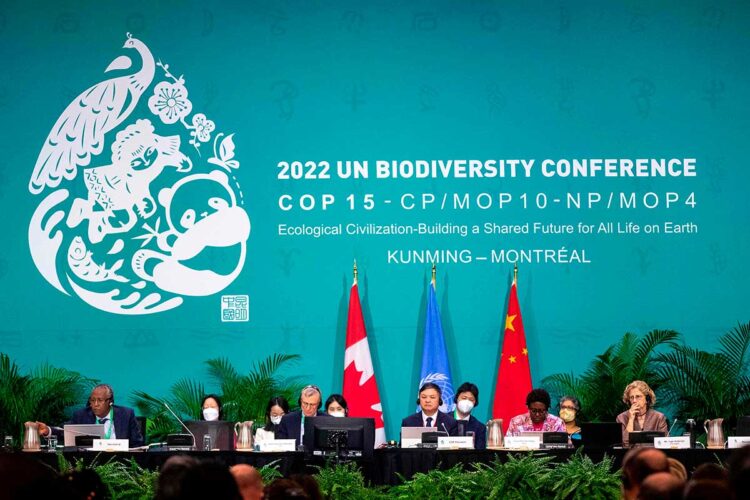 cop15_montreal.jpg