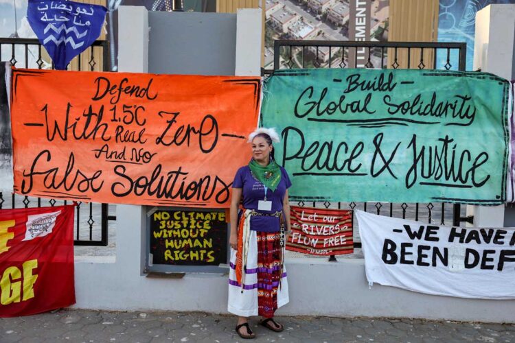 las_negociaciones_climaticas_en_la_cop27_entran_en_una_fase_critica.jpg