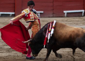Entre fanáticos y detractores, las corridas de toros vuelven en Perú tras la pandemia