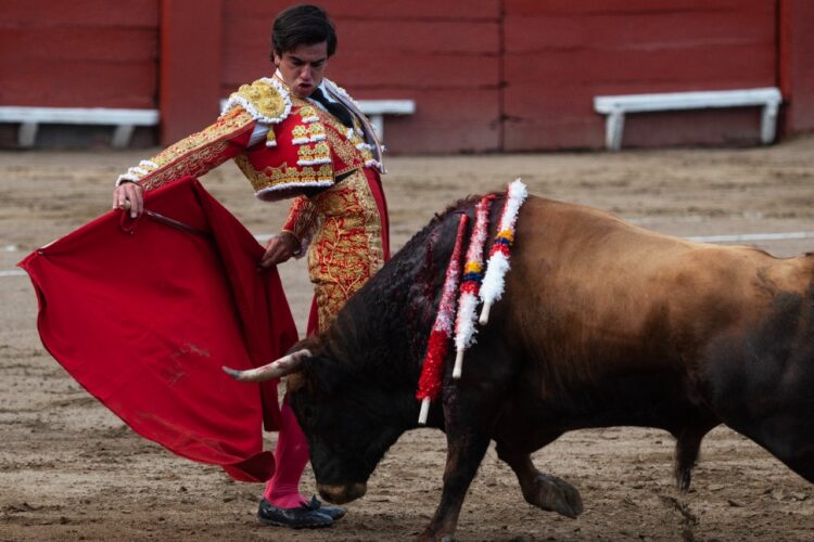 Entre fanáticos y detractores, las corridas de toros vuelven en Perú tras la pandemia
