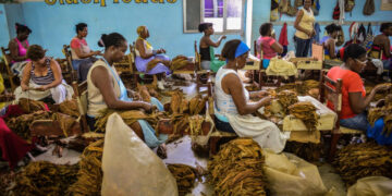 Cuba crea más de 5.000 empresas privadas en un año