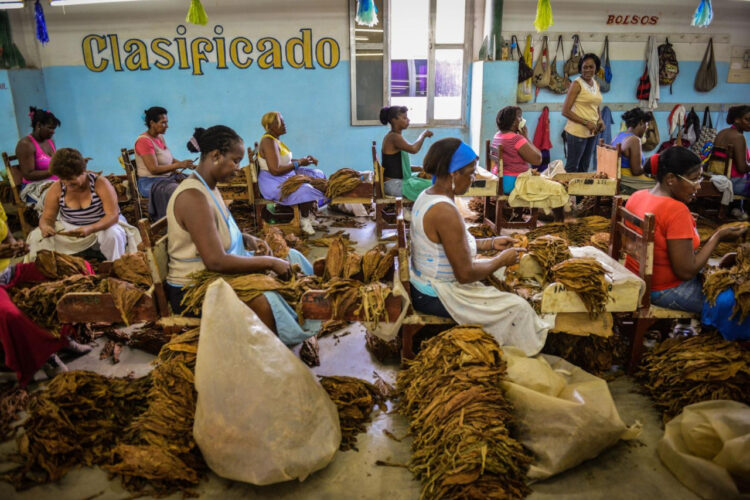 Cuba crea más de 5.000 empresas privadas en un año