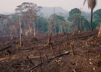 Uno de los debates del COP27 trata el tema de las pérdidas y daños por el cambio climático. Foto: Comité español de ACNUR.