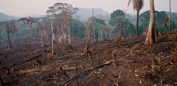 Uno de los debates del COP27 trata el tema de las pérdidas y daños por el cambio climático. Foto: Comité español de ACNUR.