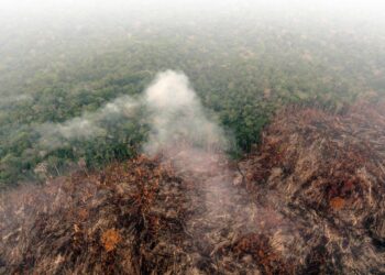 La deforestación en la sabana brasileña aumentó este año. Foto: AFP