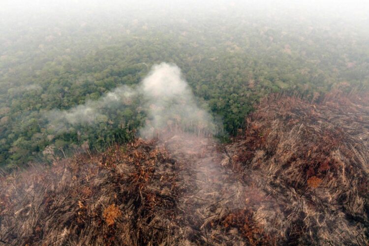 La deforestación en la sabana brasileña aumentó este año. Foto: AFP