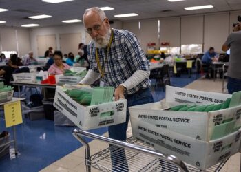 Las elecciones de Estados Unidos fueron campañas libres pero muy polarizadas y de desinformación.