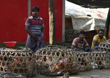 Más de 1 millón de desplazados desde el golpe de Estado en Birmania