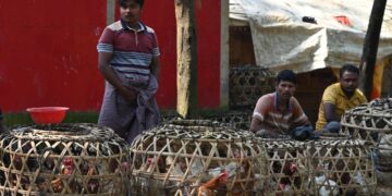 Más de 1 millón de desplazados desde el golpe de Estado en Birmania