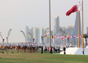 Guía del aficionado en Qatar