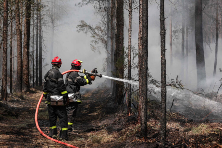 Bomberos controlan las llamas de uno de los setores afectados. Foto: AFP