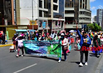 Cocaleros de distintas regionales van al cabildo. Foto: La Razón
