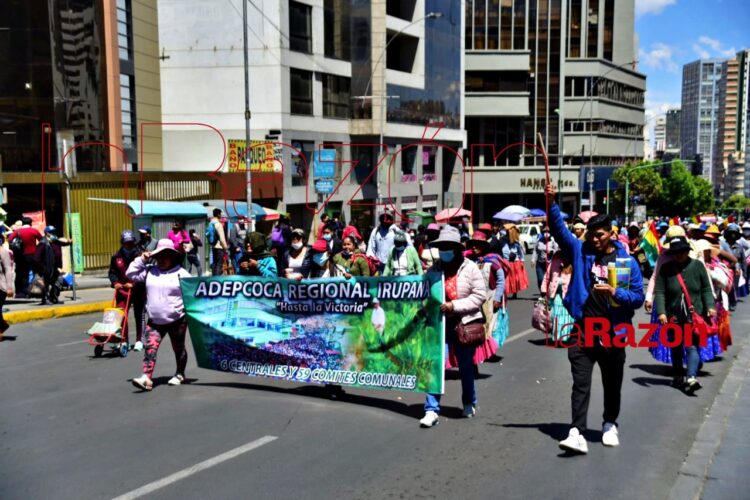 Cocaleros de distintas regionales van al cabildo. Foto: La Razón
