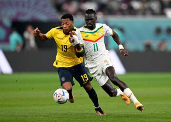ecuador_senegal.jpg