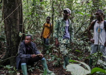 Rastreadores y guardias forestales se toman un descanso en medio del parque forestal Campo Ma'an en Camerún, donde viven elefantes. Foto: AFP.