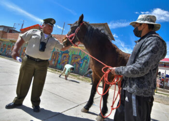 El mayor Fernando Susara junto a un recluso y su caballo. Foto: APG
