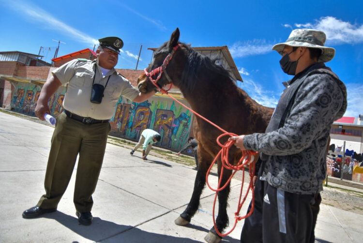 El mayor Fernando Susara junto a un recluso y su caballo. Foto: APG