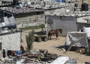 Descubren en Gaza una estatuilla de más de 4.500 años