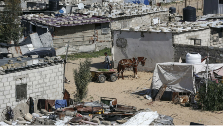 Descubren en Gaza una estatuilla de más de 4.500 años