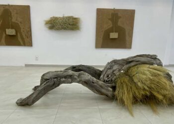adobes_gaston_ugalde.jpg