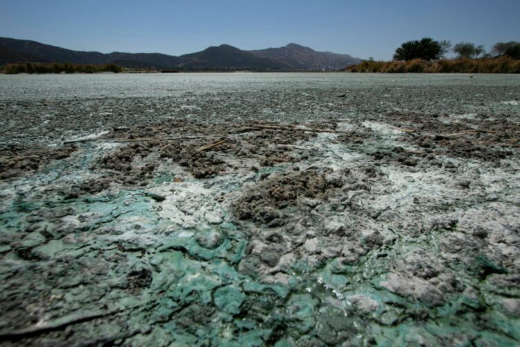 El Fenómeno de la Niña pone en emergencia de sequía algunas comunidades. Foto: APG