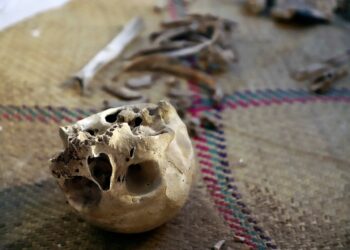 Ciudad maya de Bonampak luce riqueza milenaria en exposición en sur de México