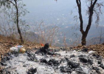 Quema de residuos sólidos en un bosque de La Paz. Foto: La Raz-archivo