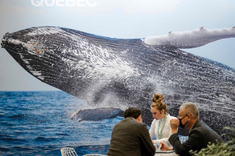 El fondo de biodiversidad es uno de los principales puntos de discusión en la COP15. Foto: AFP