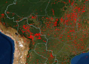 Se incrementan las quemas forestales en Santa Cruz