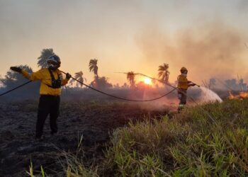El fuego arrasó con 800.000 hectáreas en Santa Cruz
