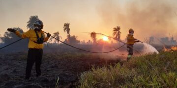 El fuego arrasó con 800.000 hectáreas en Santa Cruz