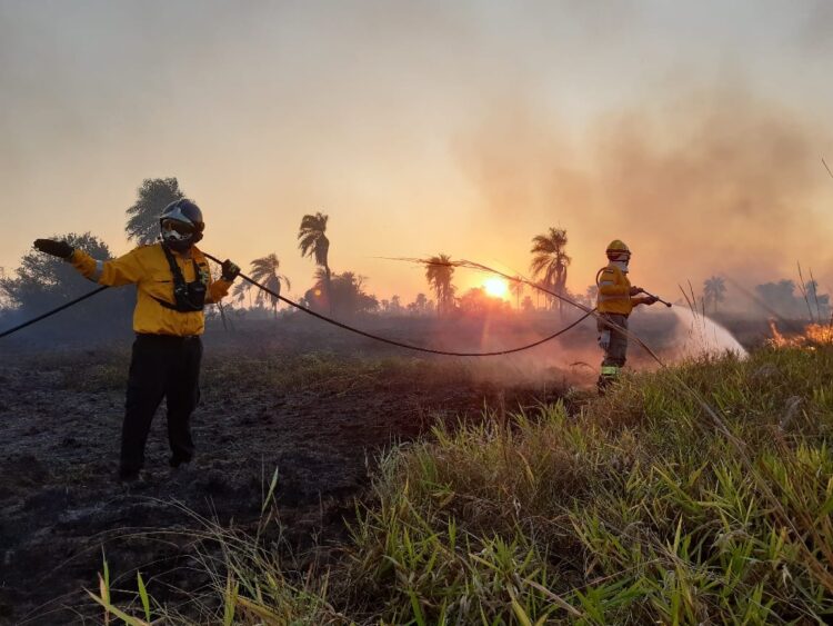 El fuego arrasó con 800.000 hectáreas en Santa Cruz