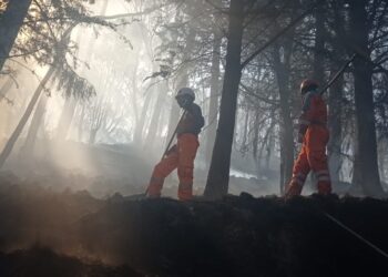 Un incendio consume los pajonales y áreas forestales del parque de Pura Pura. Foto: AMUN