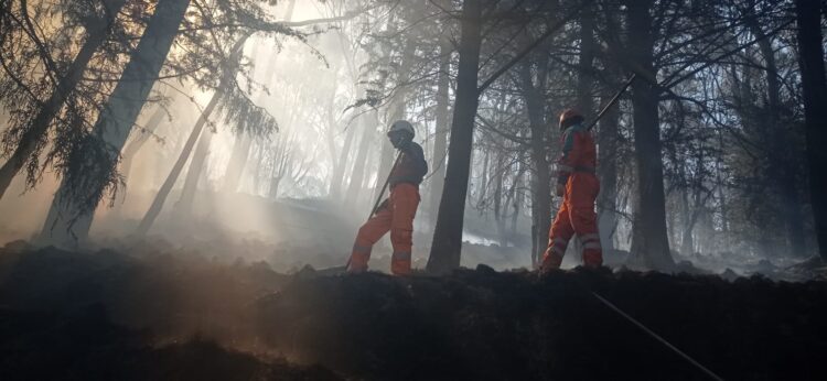 Un incendio consume los pajonales y áreas forestales del parque de Pura Pura. Foto: AMUN