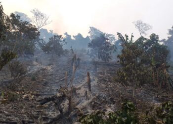 Zongo está en estado de emergencia por los incendios. Foto: AMUN