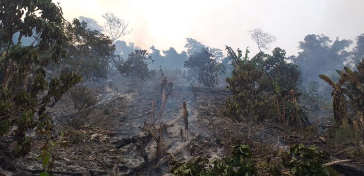 Zongo está en estado de emergencia por los incendios. Foto: AMUN