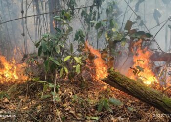 El fuego arrasa con todo a su paso. Foto: Daysi Poma