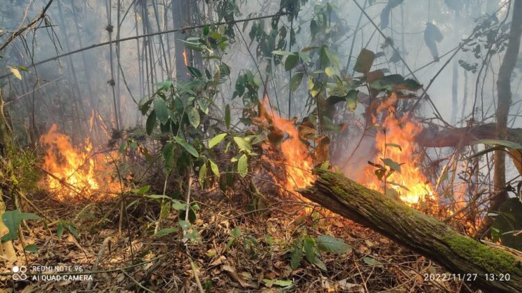 El fuego arrasa con todo a su paso. Foto: Daysi Poma