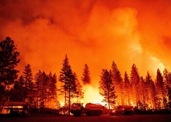 Incendio forestal en monte Kilimanjaro se reaviva
