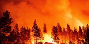 Incendio forestal en monte Kilimanjaro se reaviva