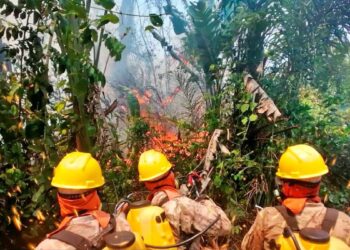 El Gobierno asegura que incendios en Urubichá son provocados