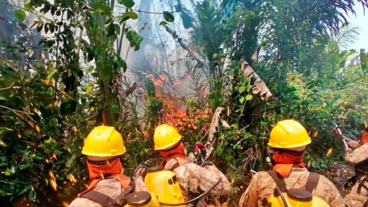 El Gobierno asegura que incendios en Urubichá son provocados
